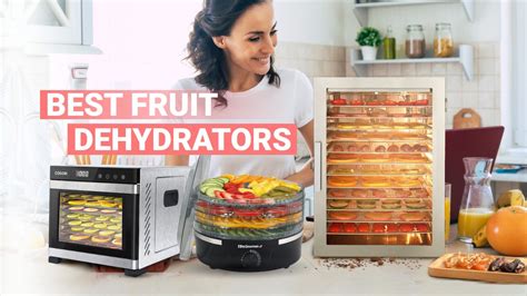 dehydration fruit machine|10 Best Fruit Dehydrators of 2023: Reviews & Ultimate Guides.